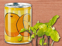 infactory Dosenpflanze "Orange";   