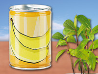infactory Dosenpflanze "Banane";   