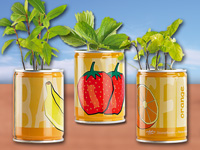 infactory Dosenpflanzen 3er-Set Obst: "Erdbeere, Orange & Banane";  