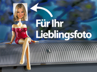 infactory Desktop Girlfriend Fotohalter für TFT/Monitor;  