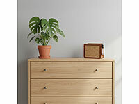 ; Spardosen mit Münzzähler