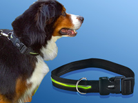; Kinetische LED-Leuchthalsbänder für Haustiere Kinetische LED-Leuchthalsbänder für Haustiere Kinetische LED-Leuchthalsbänder für Haustiere Kinetische LED-Leuchthalsbänder für Haustiere 