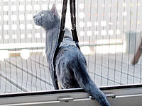 ; Universal-Fenster-Fliegengitter mit Magnetleisten 